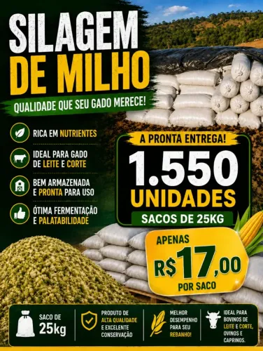 SILAGEM DE MILHO VERDE PREMIUM - SACO 25KG