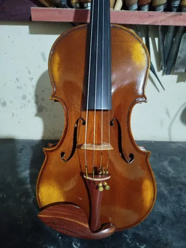 Violino