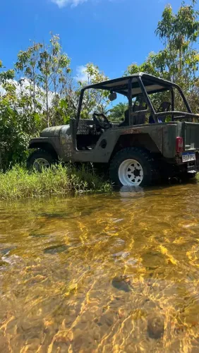 Willys Overland Jeep 2.6 12V Gasolina 2P 1966