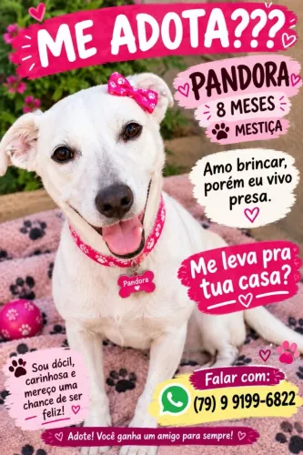 CACHORROS