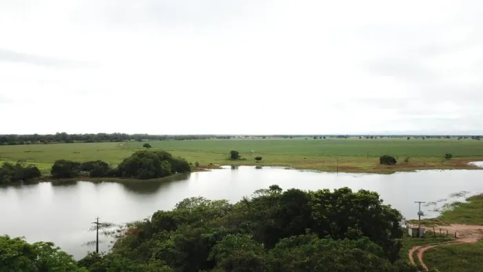FAZENDA BRITÂNIA