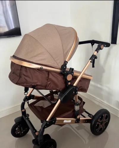 Carrinho de bebê Moisés