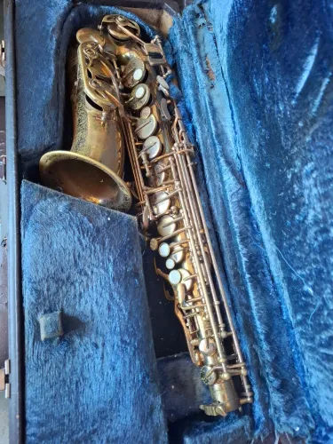 Sax alto mib Shelter