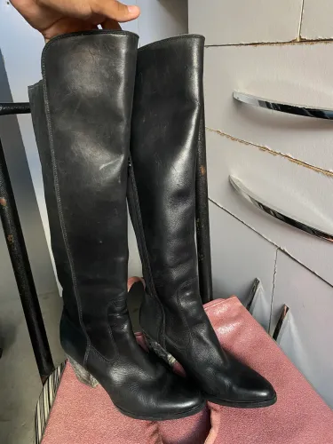 Bota