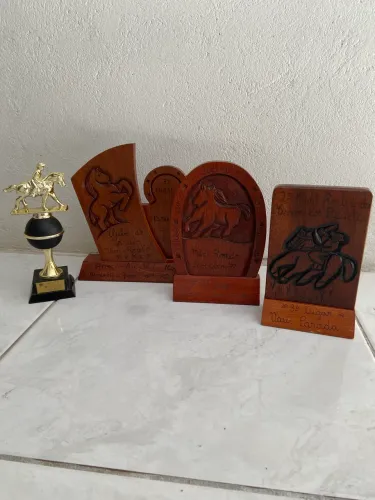 Lote 4 trofeus cavalo antigos