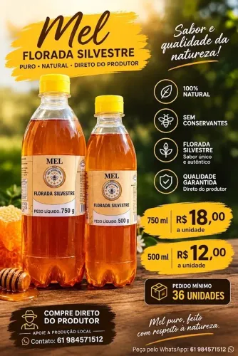Mel organico Florada Silvestre e Melaço