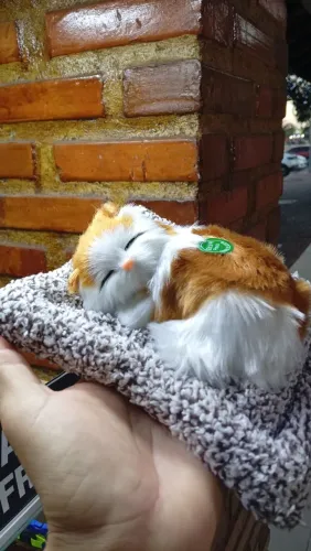 Gato miniatura de pelúcia