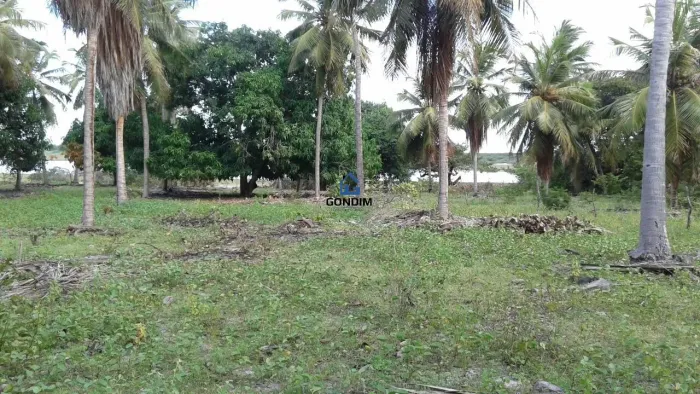 Terreno 24,76 ha na beira do asfalto! CE-040 KM 93 Beberibe! Doc OK!