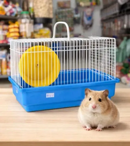 Hamster filhote com gaiola