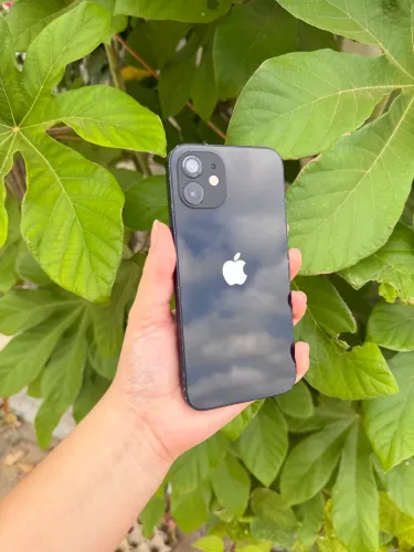 iPhone 12