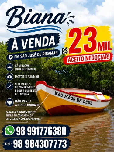 Biana motor 11 yanmar