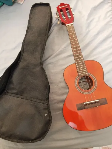 Cavaquinho acústico Gianini CS14N com case.