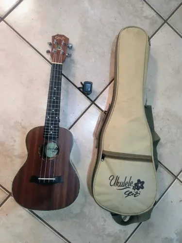 Ukulele Seizi Mauri Concert