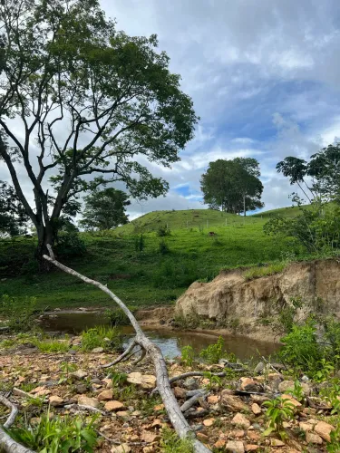 FAZENDA 6 ALQU À VENDA | UM VERDADEIRO PARAÍSO A APENAS 87 KM DE GOIÂNIA