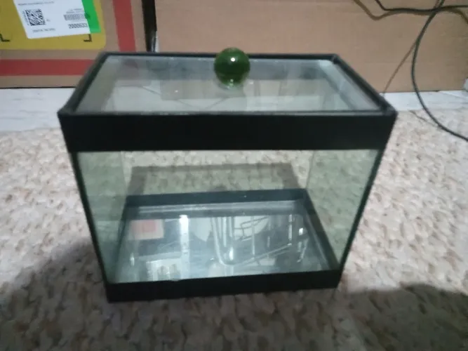 MINI AQUÁRIO / BETEIRA DE VIDRO COM TAMPA - IDEAL PARA MINI TERRÁRIOS