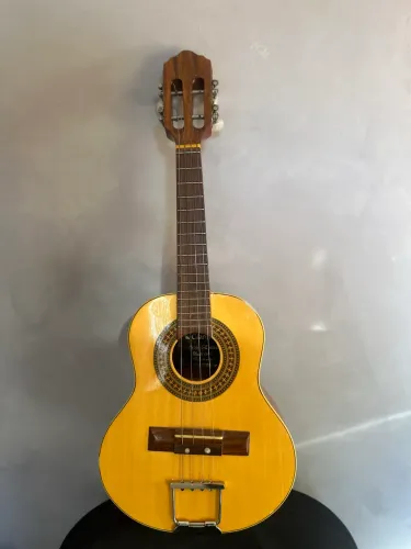Cavaquinho Gianini