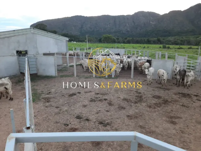 Fazenda à venda em Natividade TO, 213 alqueires com água e potencial agrícola