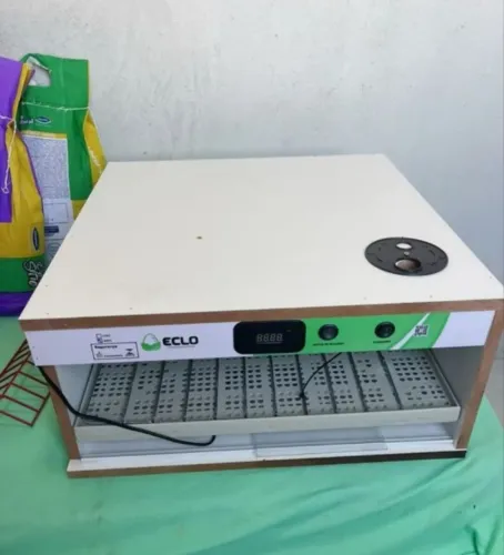 Chocadeira Eclo 100 ovos automática