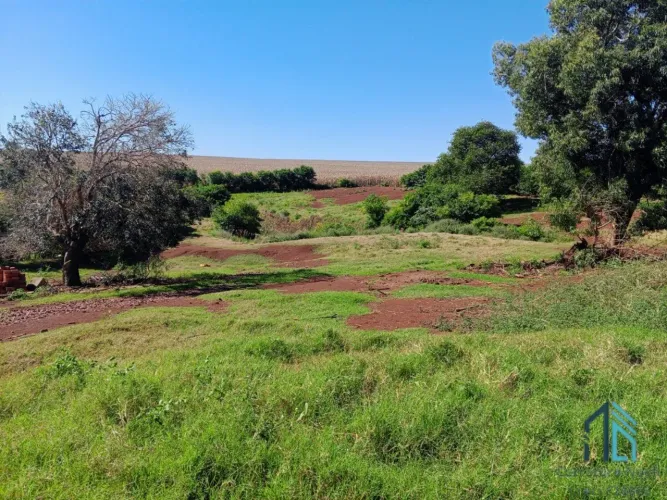 Oportunidade única, próximo ao asfalto PROPRIEDADE RURAL A VENDA - VILA NOVA TOLEDO - PR