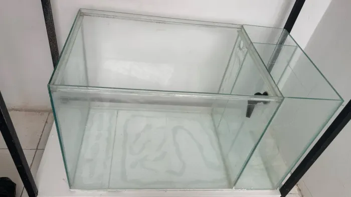 Aquário