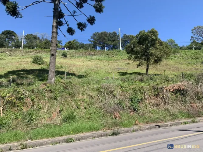 Terreno à venda, Nossa Senhora das Graças, Caxias do Sul, RS