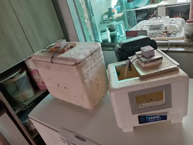 Chocadeira caseira de isopo usadas
