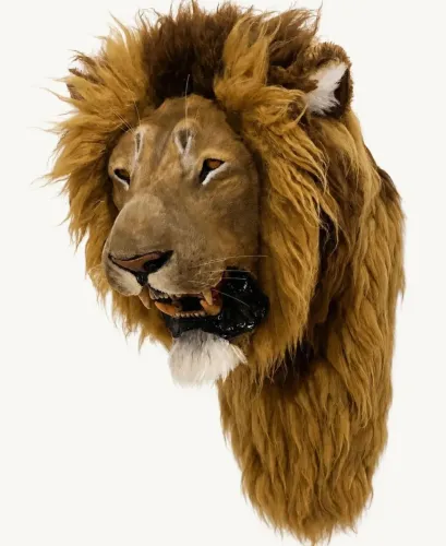 Cabeça de Leão taxidermia sintética