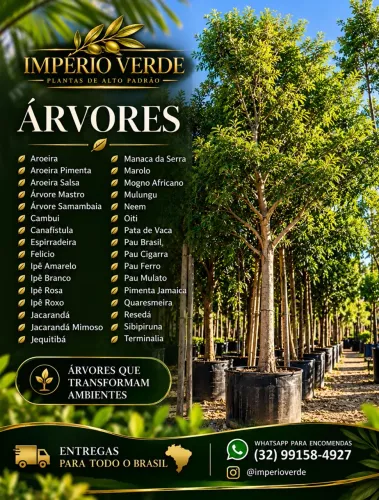 Árvores nativas
