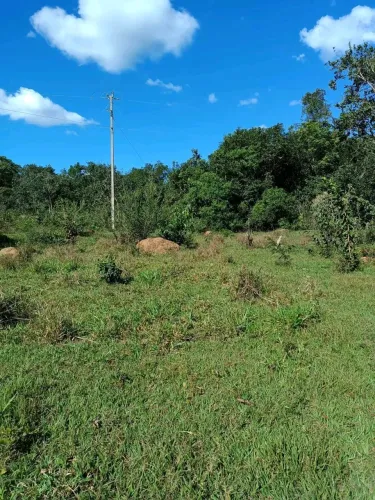 Fazenda barata ? presidente Olegário 