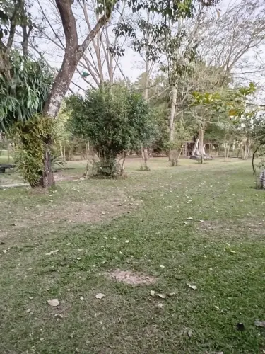 CHÁCARA A VENDA NA CIDADE DE MONTE MOR SP