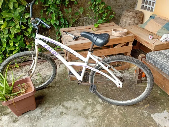 Bicicleta caloi-vende-se