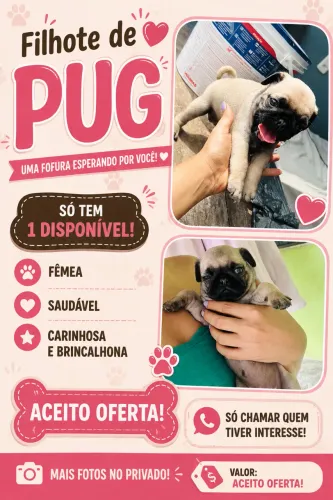 Pug