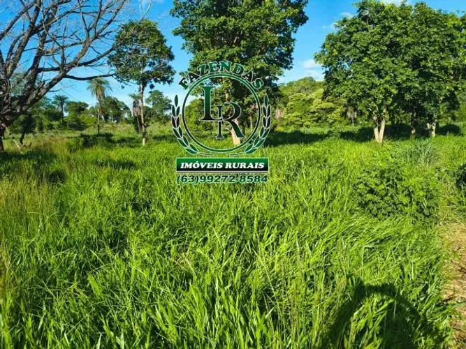 Fazenda-Chácara 13 Alqueires Próximo Paraiso