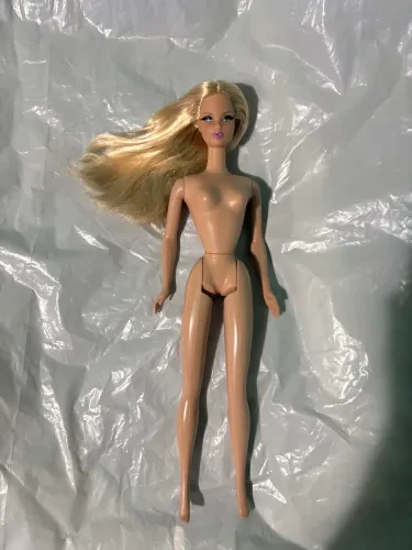 Barbie Collector The Look