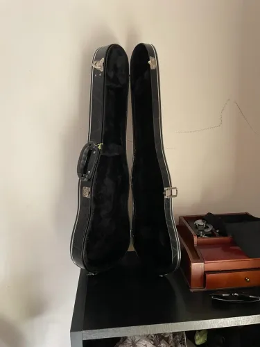 Case violino 