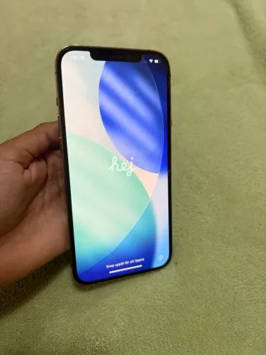 IPHONE12 PRO MAX