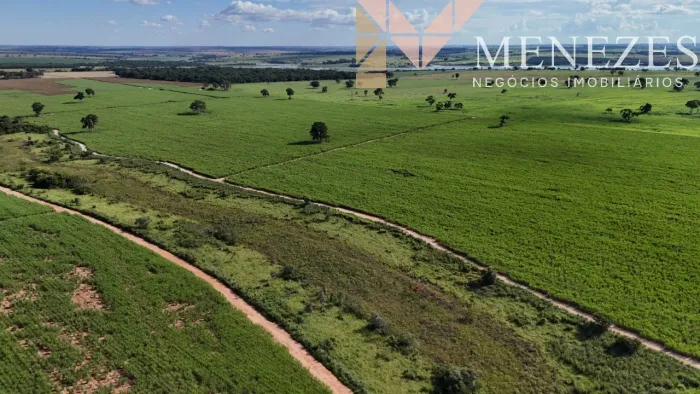 Fazenda de cana à venda no interior de São Paulo