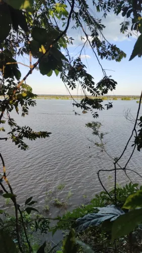 ARÉA DE 2.100M²RURAL NA ILHA DE PARINTINS NA BEIRA DO RIO AM BRASIL !
