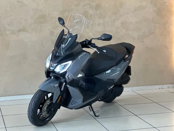 Joy 300
