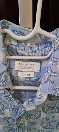 Camisa Zara