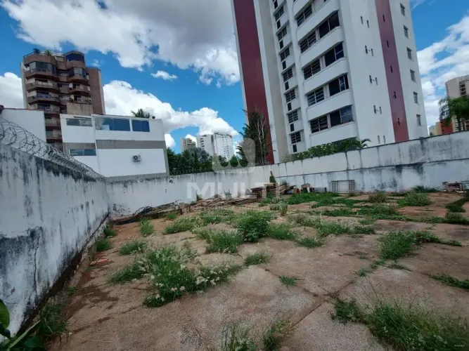 Terreno - MARTINS