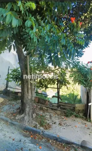 Venda Lote-Área-Terreno Jardim Vitória Belo Horizonte