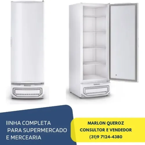 Freezer Vertical Porta Cega Gelopar