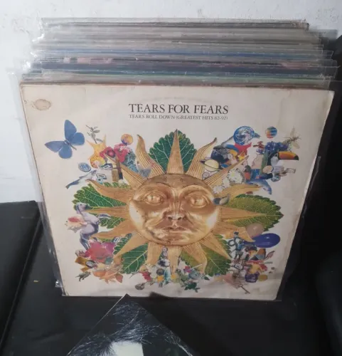 COLEÇÃO DE DISCOS DE VINIL Valores Individuais Na Descrição 
