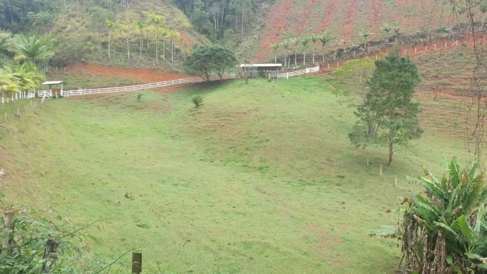 Sitio 11 Hectares  com casa à