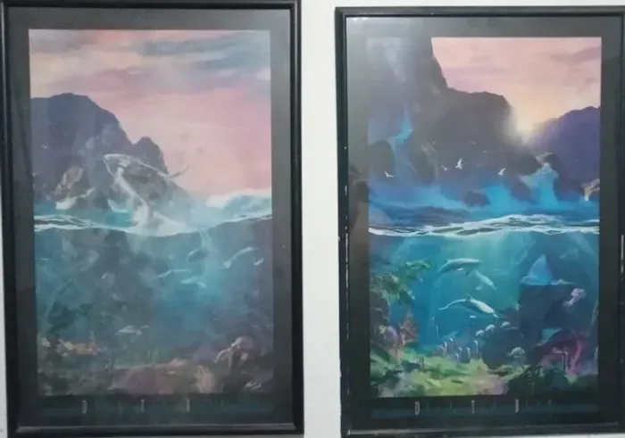 2 Quadros com imagens do fundo do mar - Raridades