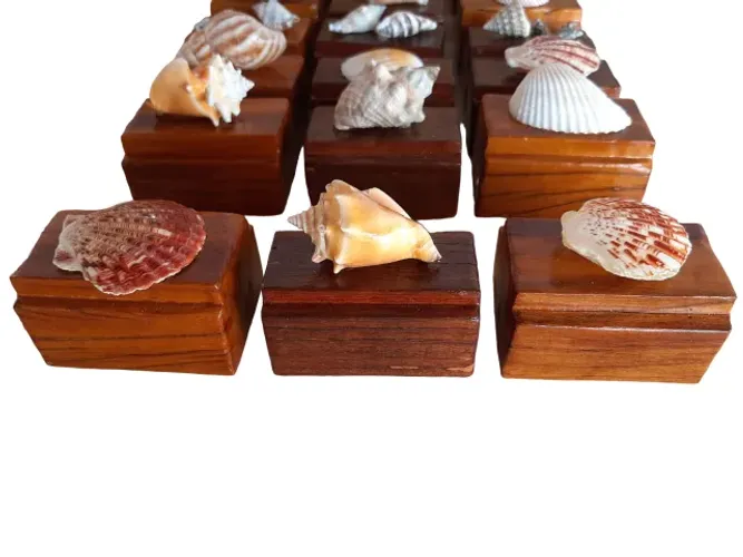 Peso de Papel Kit c/ 03 Conchas do Mar