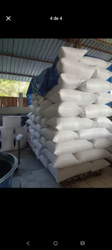 Pra negócio 4 lotes de 60 hectares em Caracaraí preço a gente combina,