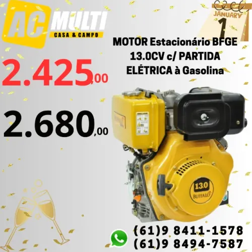 MOTOR ESTACIONÁRIO A GASOLINA BFGE 4T 13.0CV BUFFALO