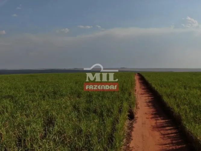 Fazenda em Mineiros-GO. Área Total: (379 Alqueires) 1.835 Há.